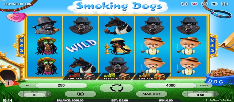 jackpot smoking dogs