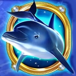 wild dolphin slot gameart